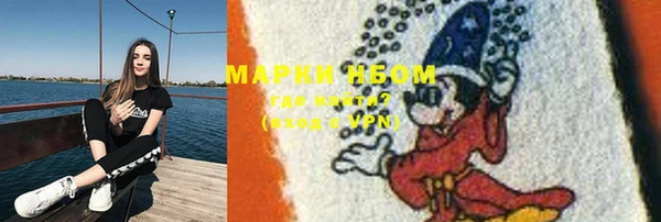 гашик Алексин