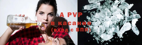 гашик Алексин