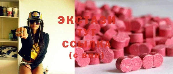 гашик Алексин