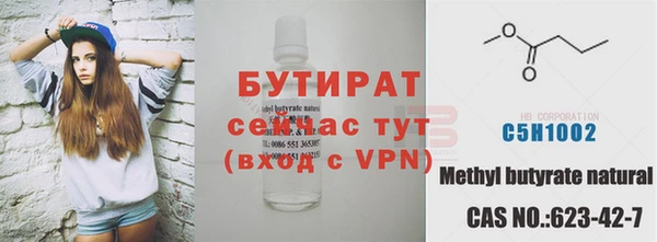 гашик Алексин