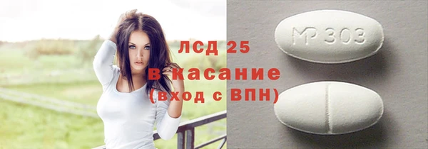 гашик Алексин