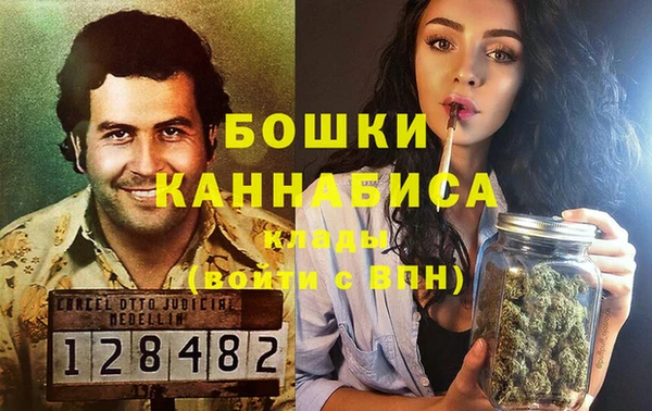 гашик Алексин